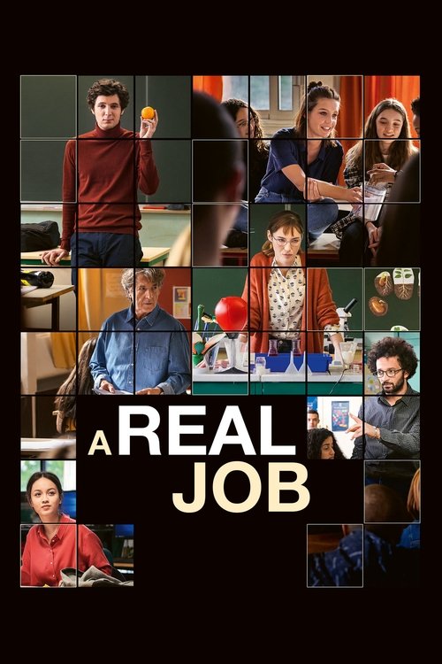 Affiche de Un métier sérieux
