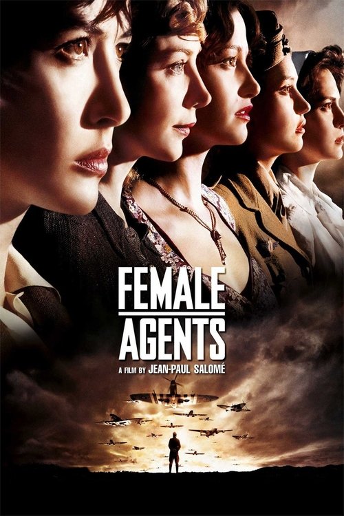 Affiche de Les femmes de l'ombre