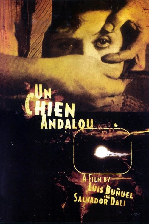 Affiche de Un chien andalou