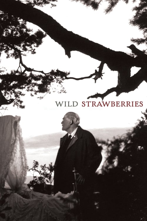 Affiche de Les Fraises sauvages