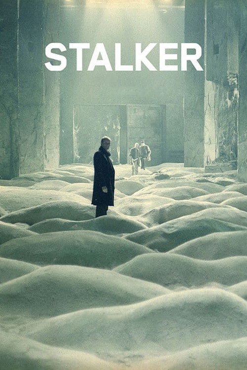 Affiche de Stalker