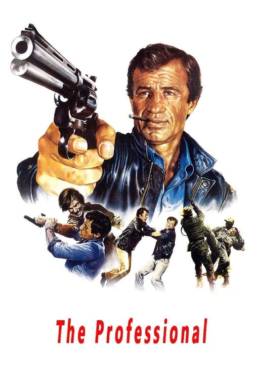 Affiche de Le Professionnel